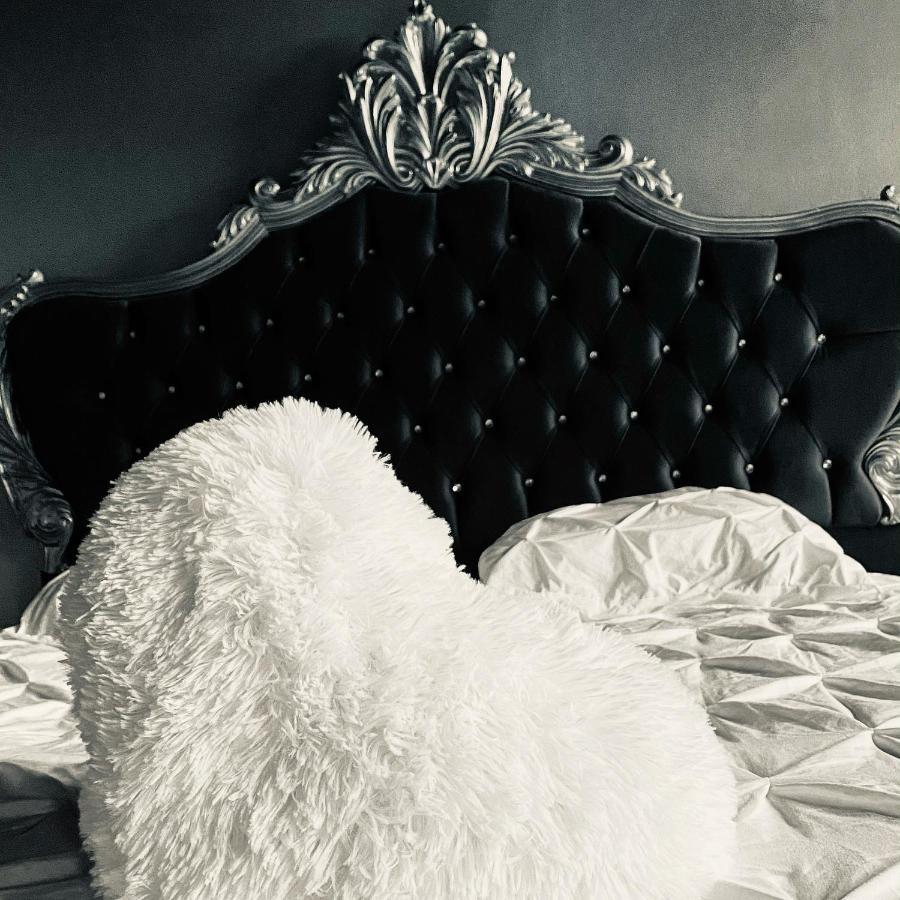 Hypolite Bed & Breakfast Avesnes-sur-Helpe Eksteriør bilde